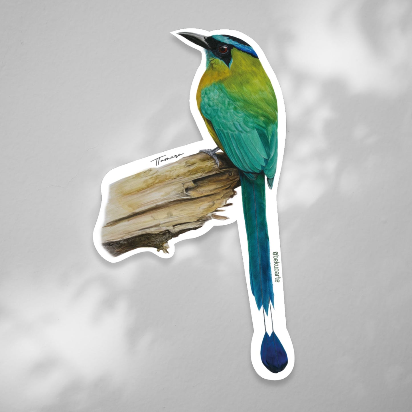 Sticker contra agua - Ecos del Pájaro Bobo
