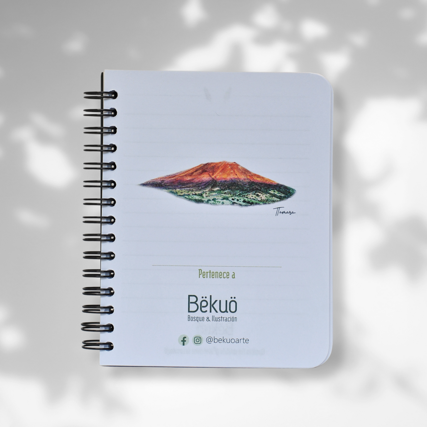 Libreta Pequeña - Relatos del bosque