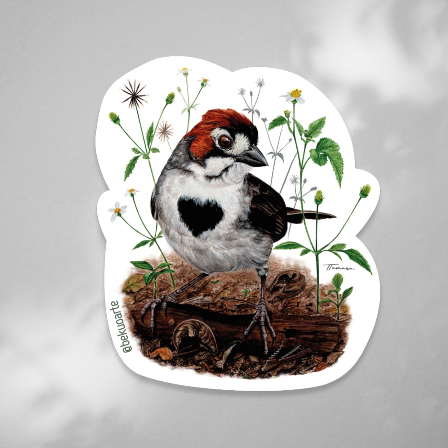 Sticker contra agua - Pinzón Costarricense #3