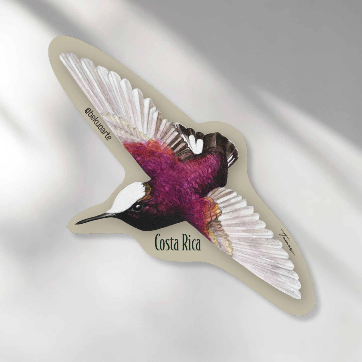 Imán - Colibrí Copete de Nieve #2