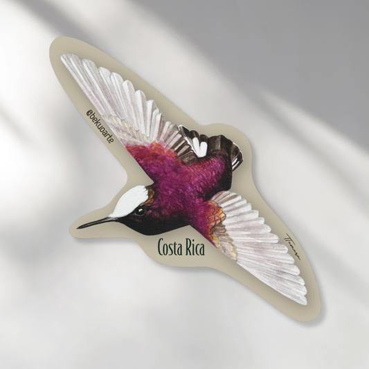 Imán - Colibrí Copete de Nieve #2