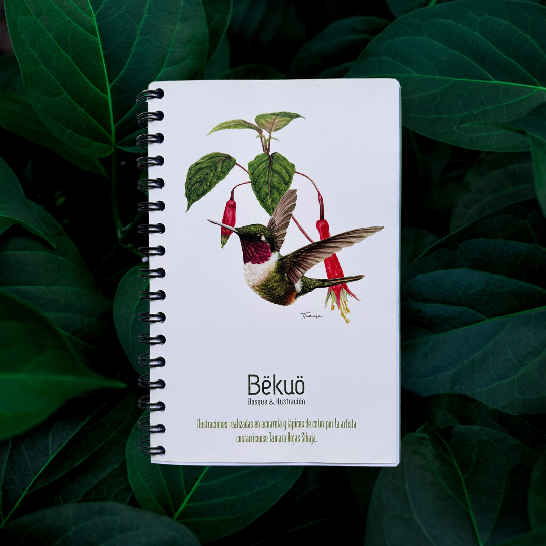 Libreta - Colibrí Estrellita Gorgimorada