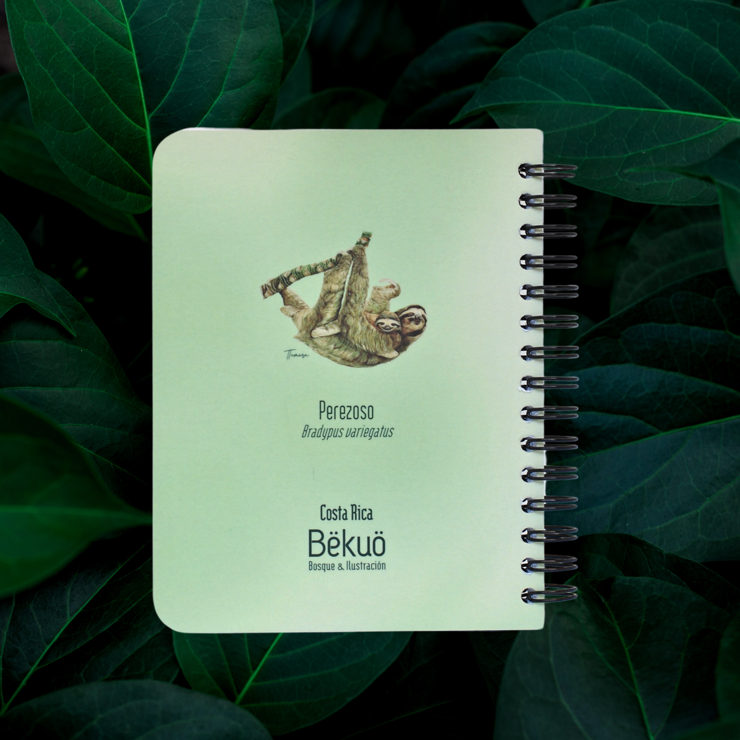 Libreta Pequeña - Perezoso