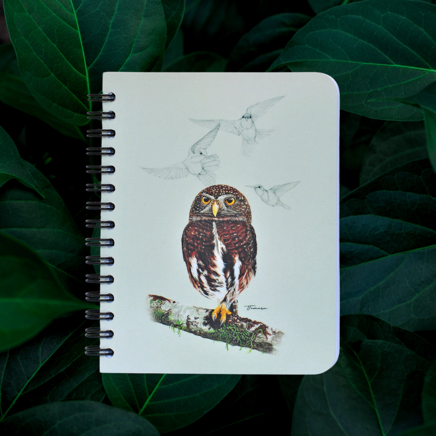Libreta pequeña - Endémico Mochuelo Costarricense