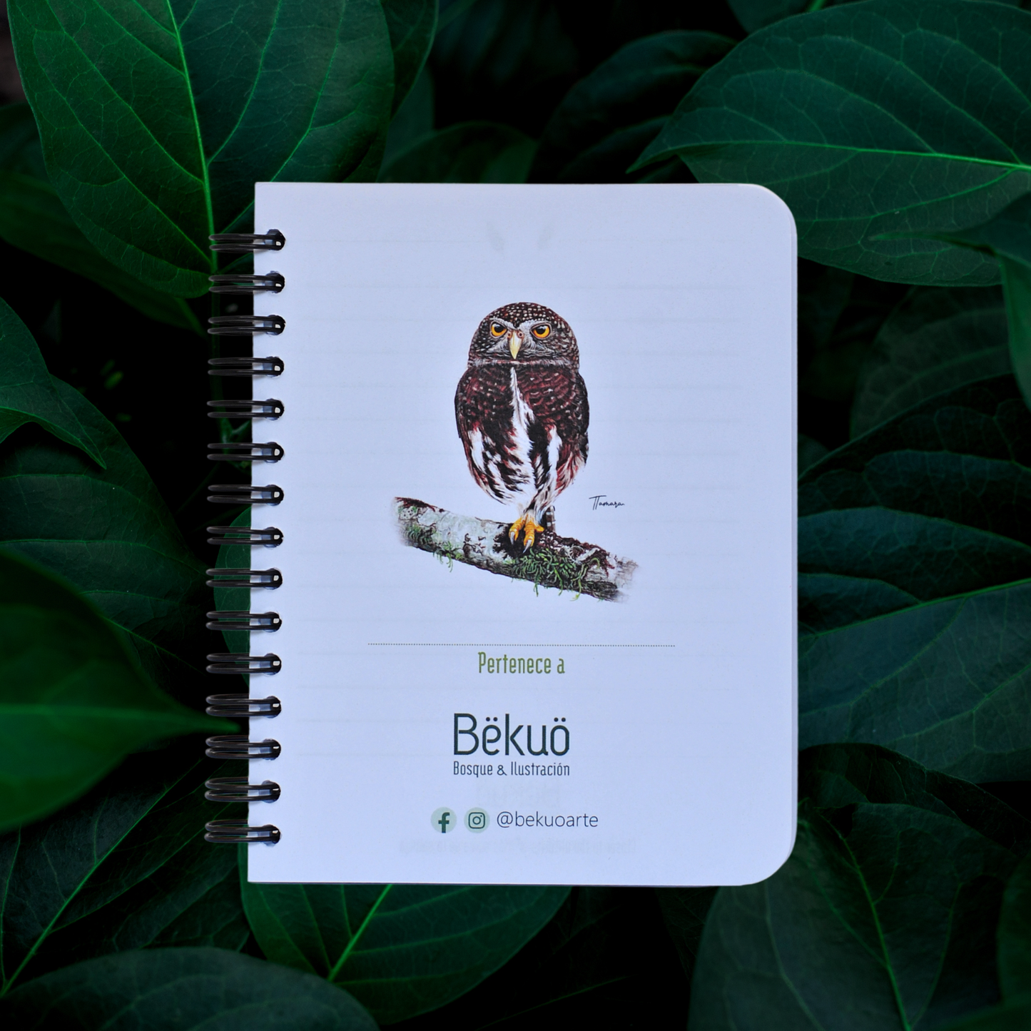 Libreta pequeña - Endémico Mochuelo Costarricense