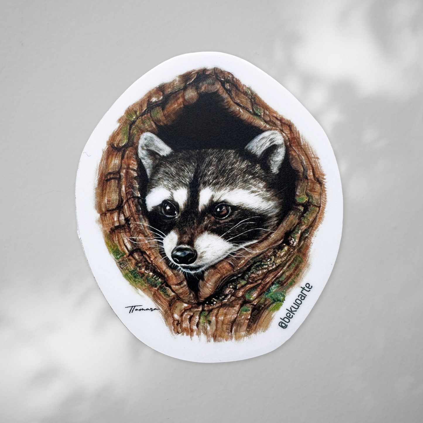 Sticker contra agua - Mapache