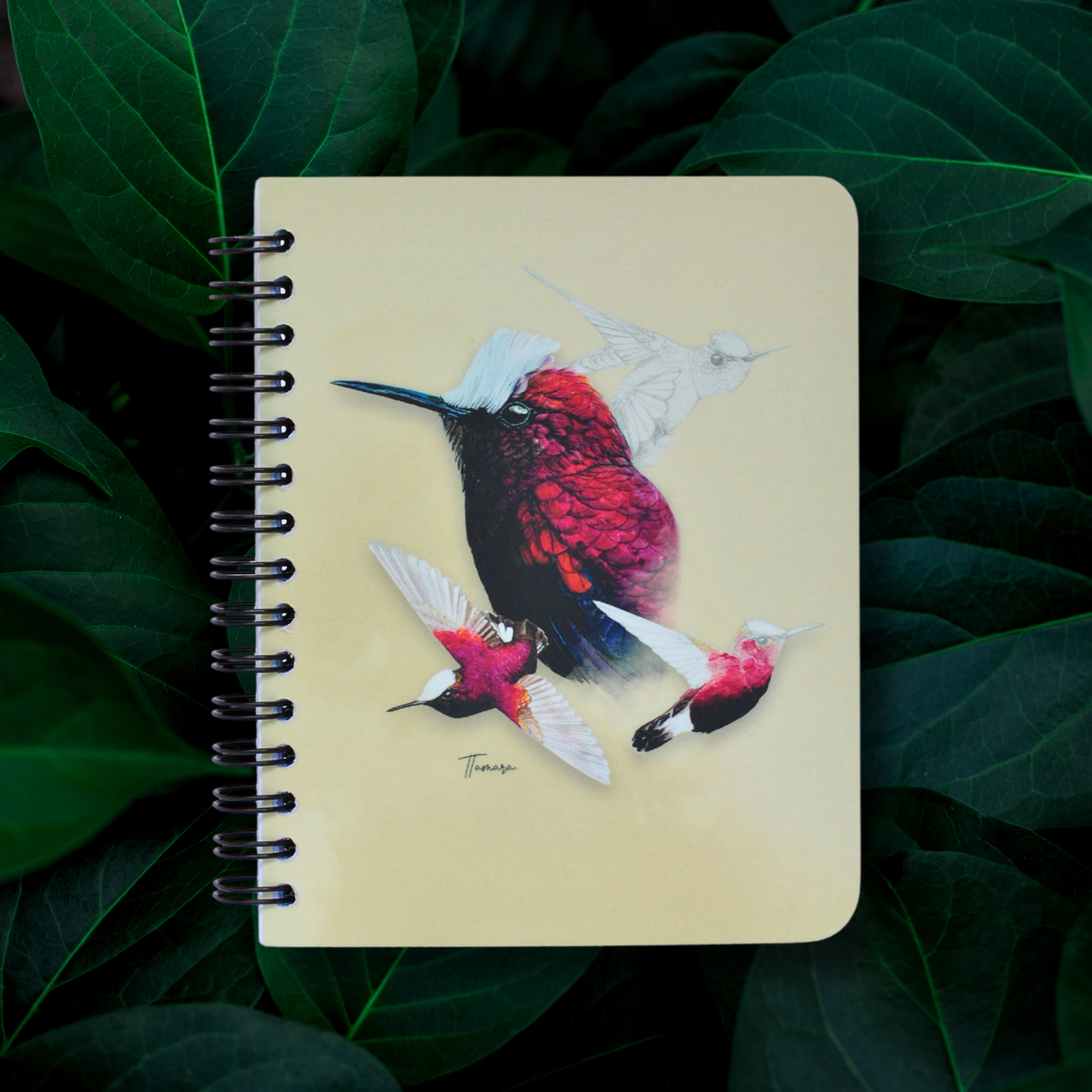 Libreta pequeña - Copete de Nieve