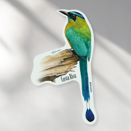 Imán - Ecos del Pájaro Bobo