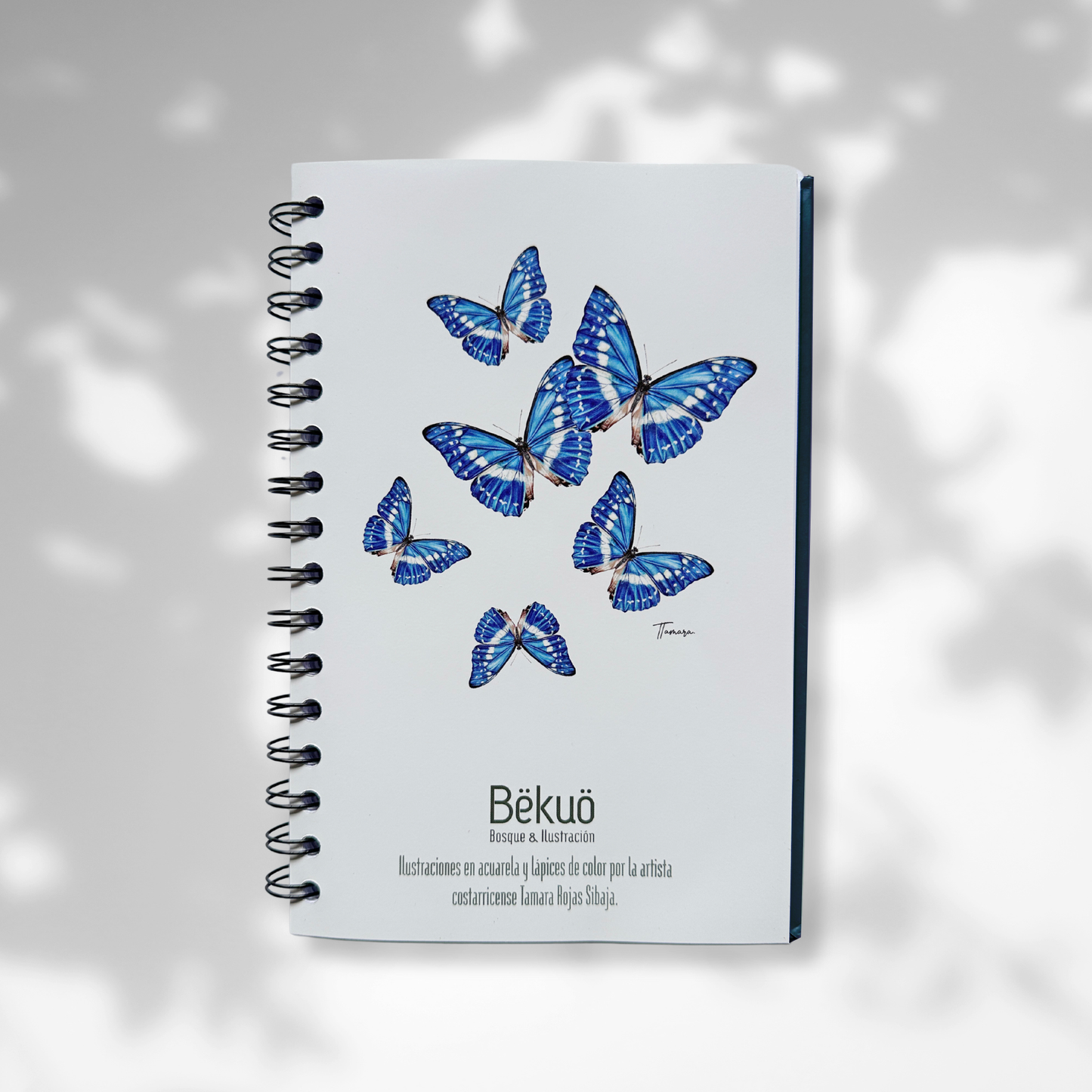 Libreta - Morpho Oscura