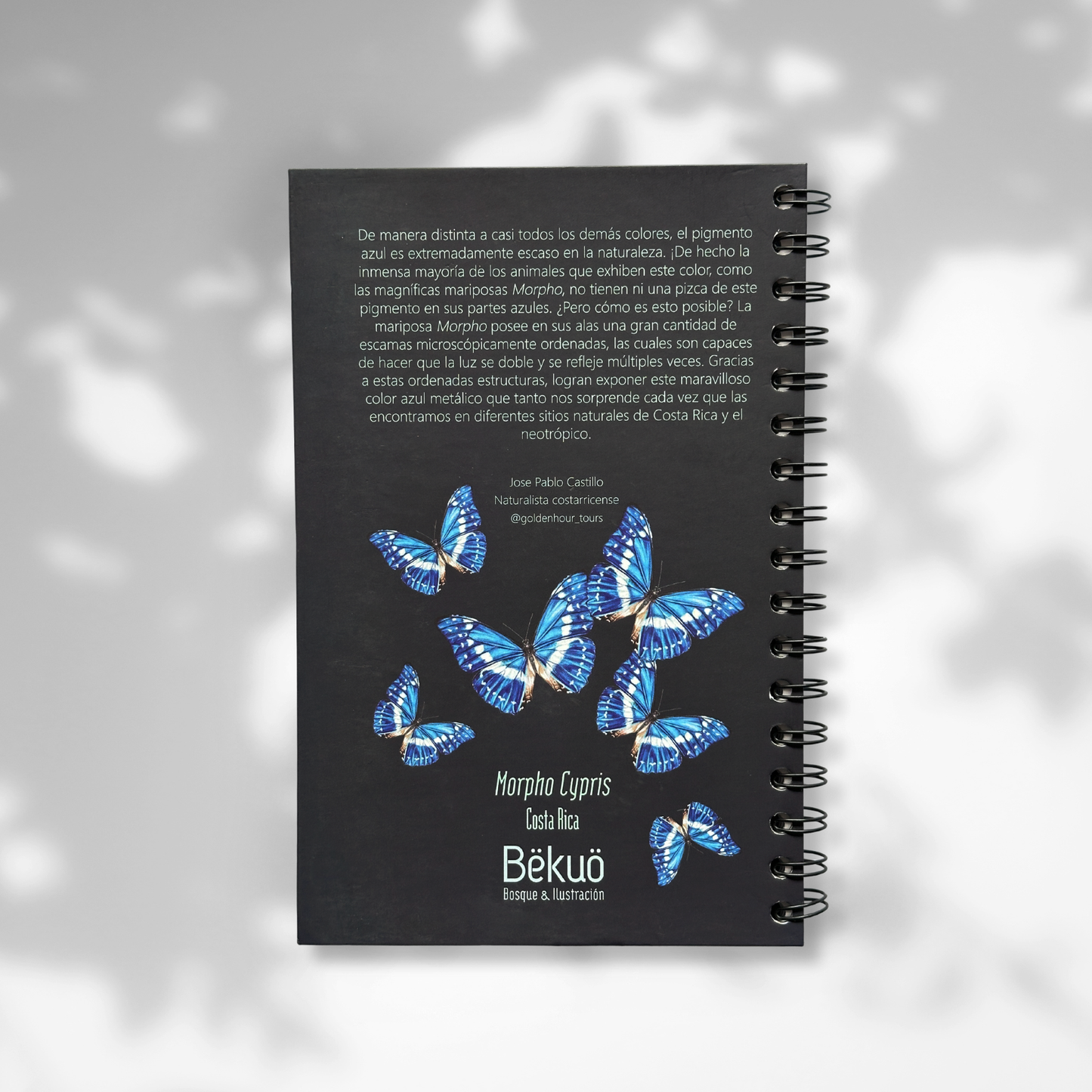 Libreta - Morpho Oscura