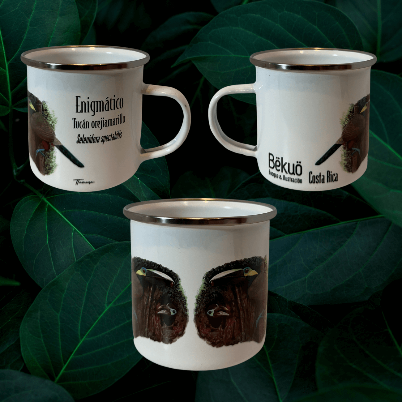 Jarrito de Metal - Enigmático Tucán Orejiamarillo