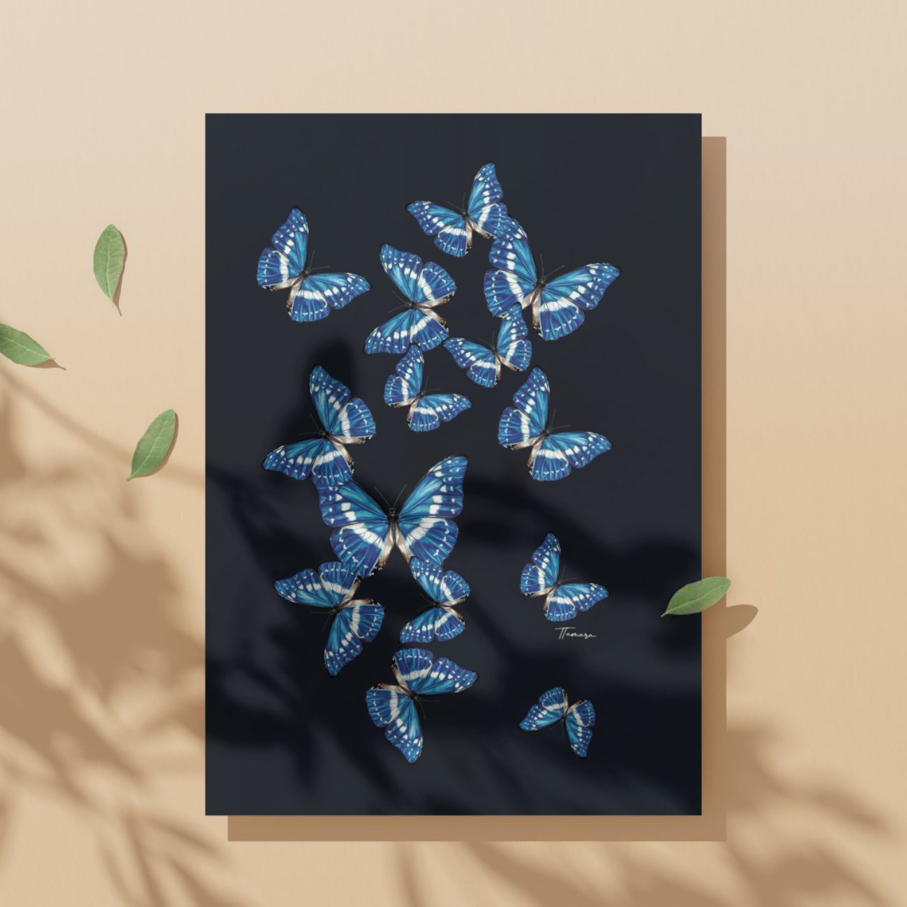 Tarjeta de regalo - Morpho