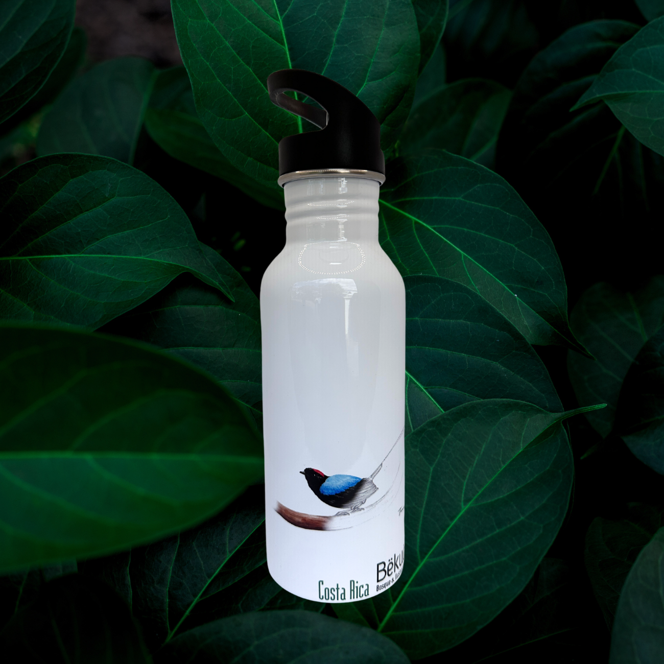 Botella - Pajarero, pajarera