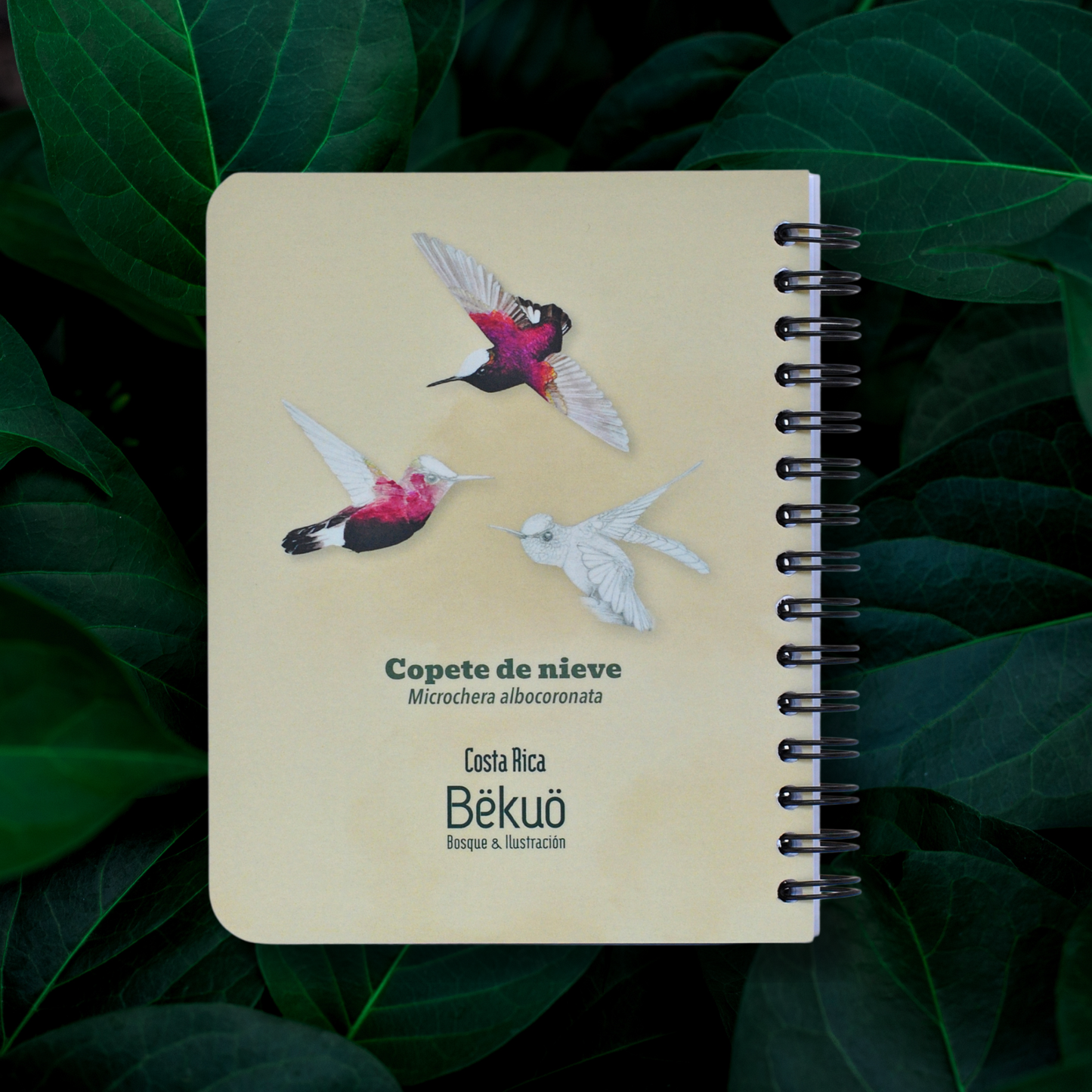 Libreta pequeña - Copete de Nieve