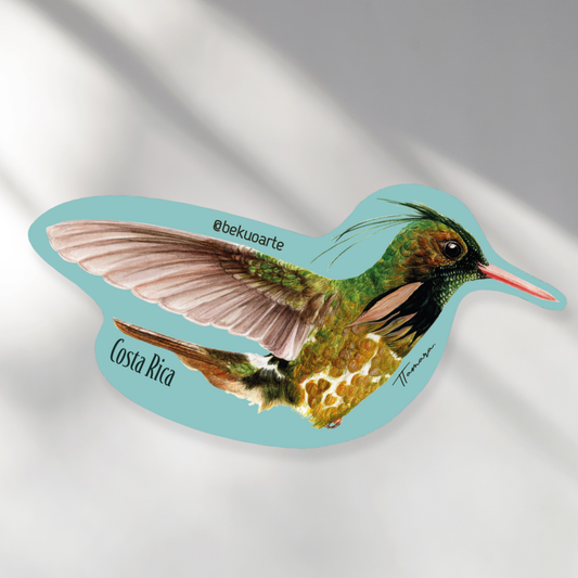 Imán - Colibrí Crestinegra