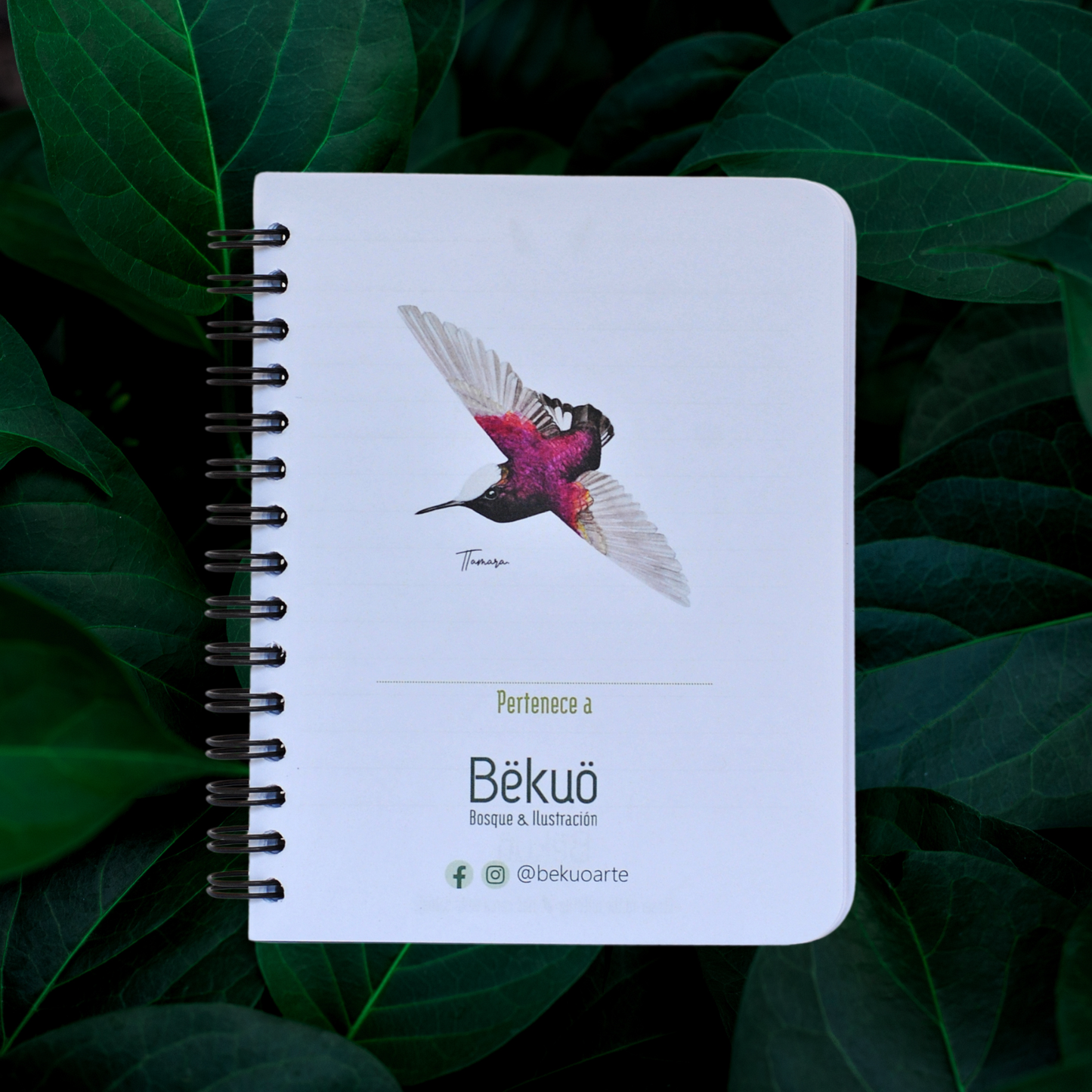 Libreta pequeña - Copete de Nieve