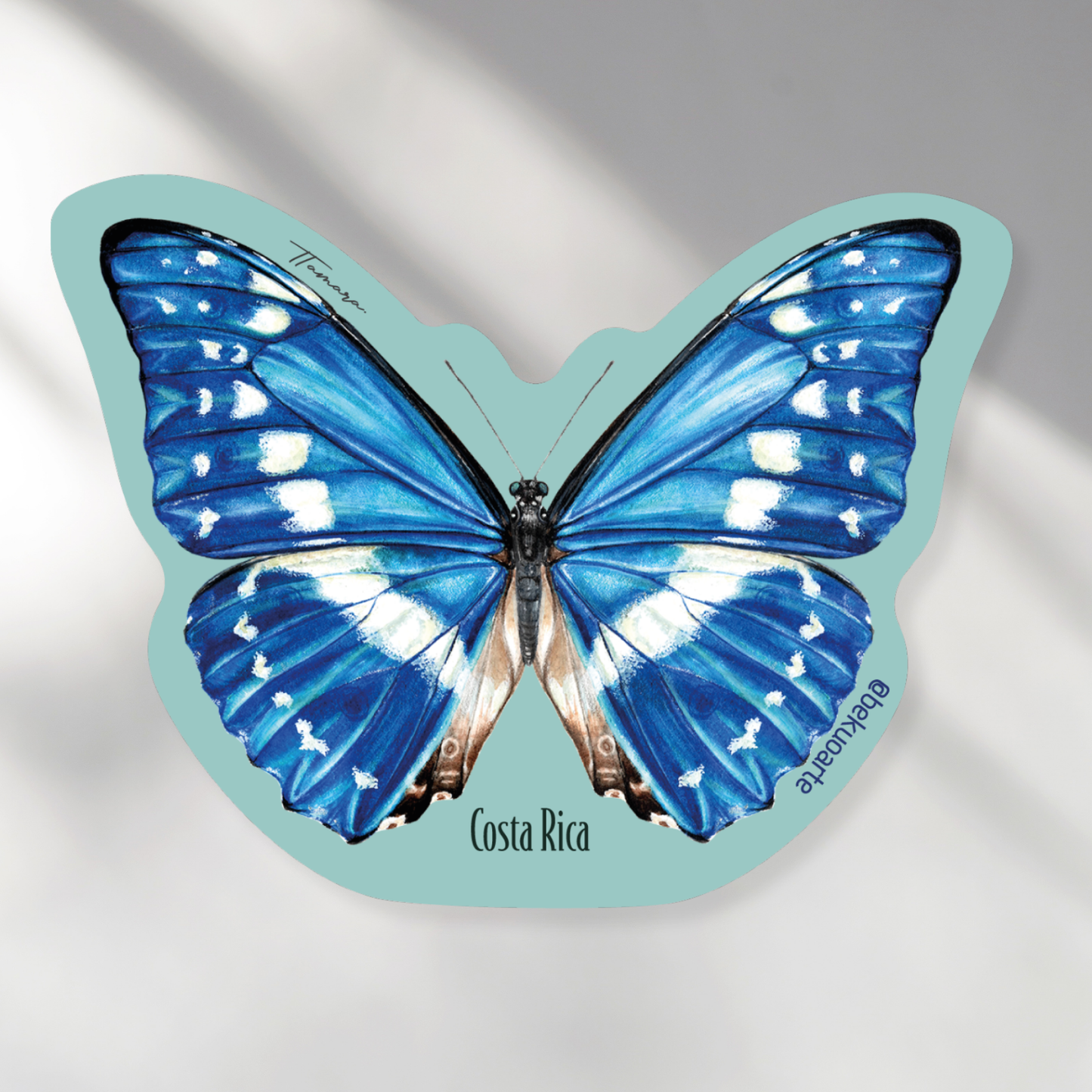Imán - Morpho