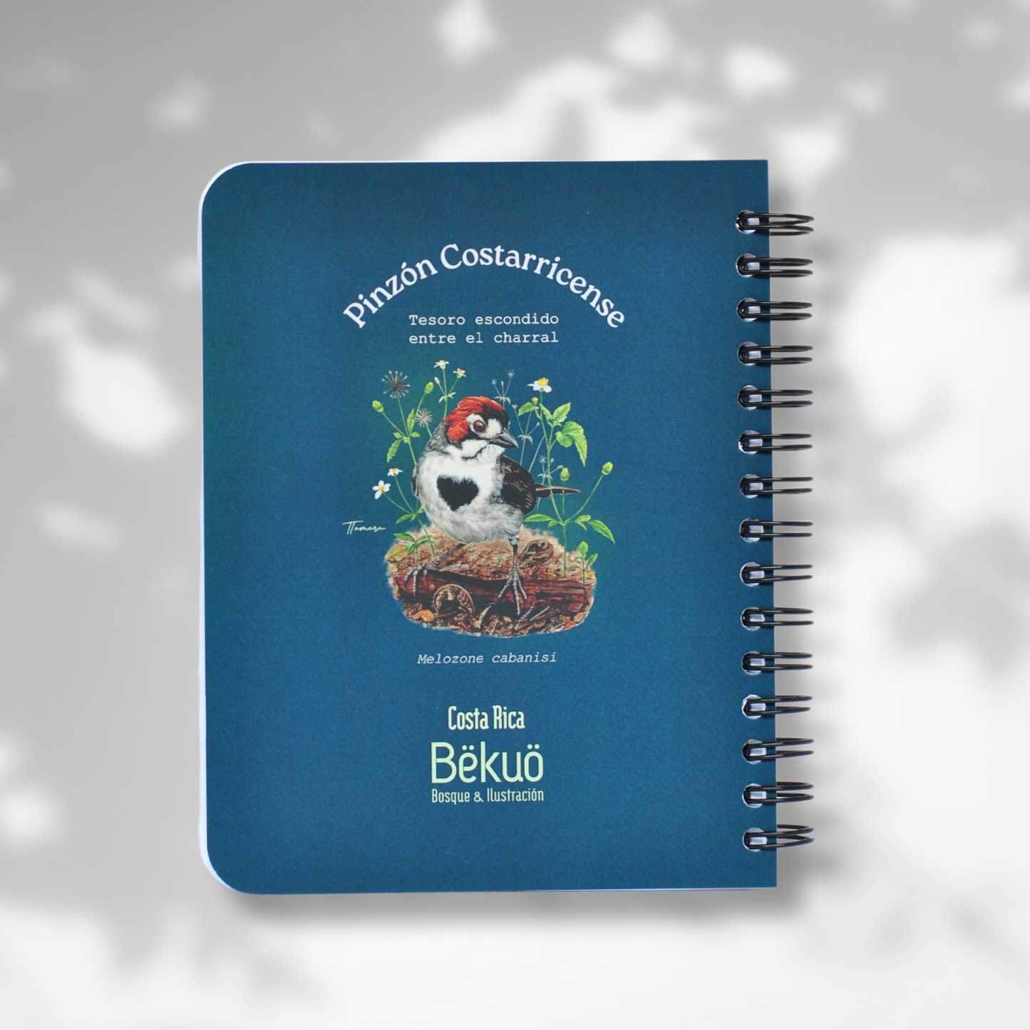 Libreta pequeña - Pinzón Costarricense