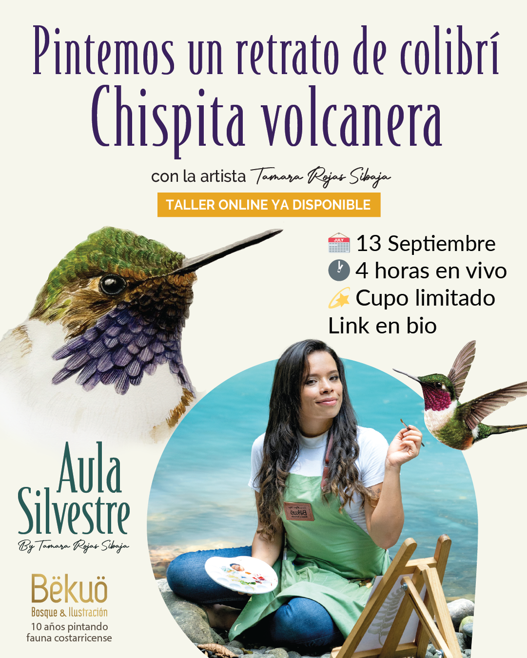 Pintemos un retrato de colibrí Chispita volcanera / Aula Silveste