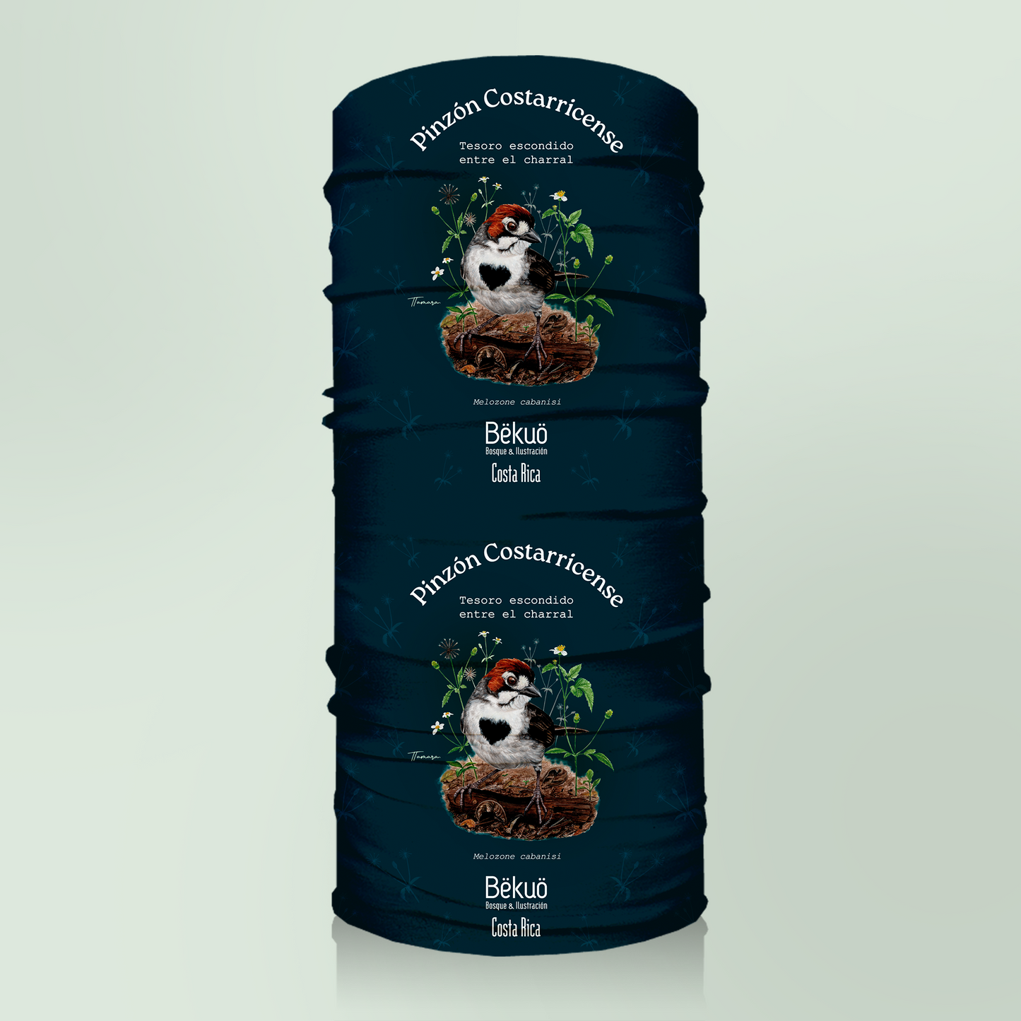 Bandana - Pinzón Costarricense