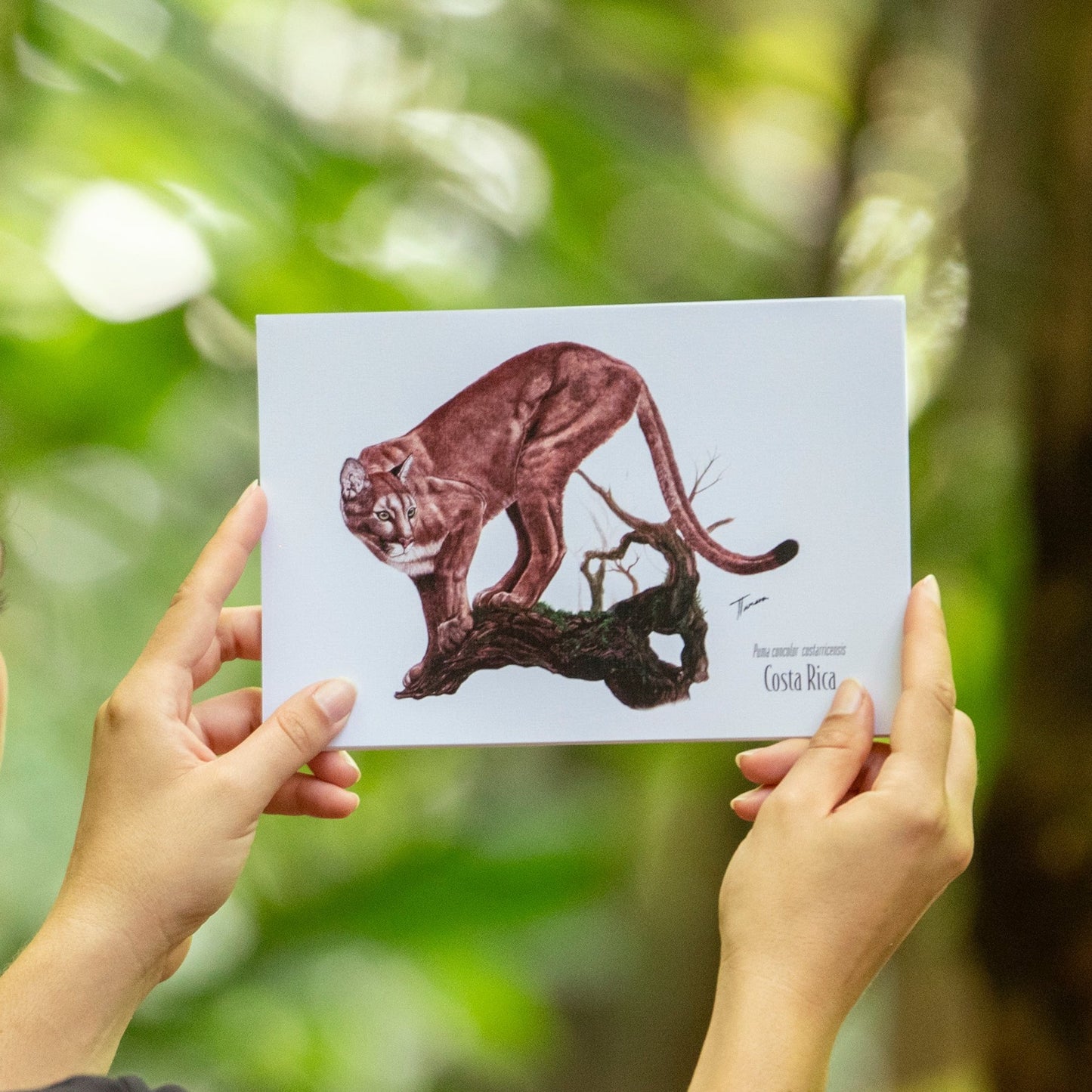 Print para enmarcar - Indómito de Montaña