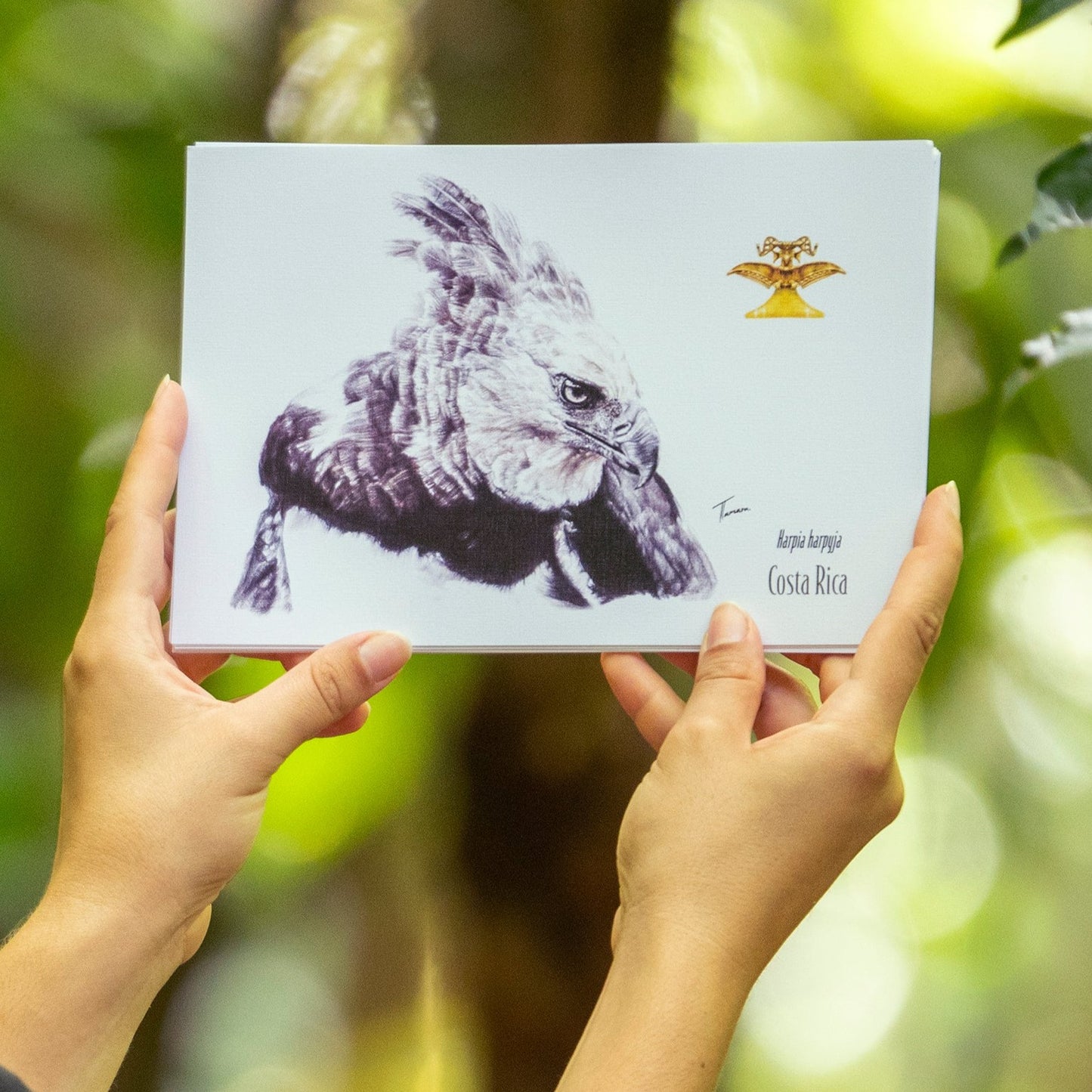 Print para enmarcar - Águila Arpía