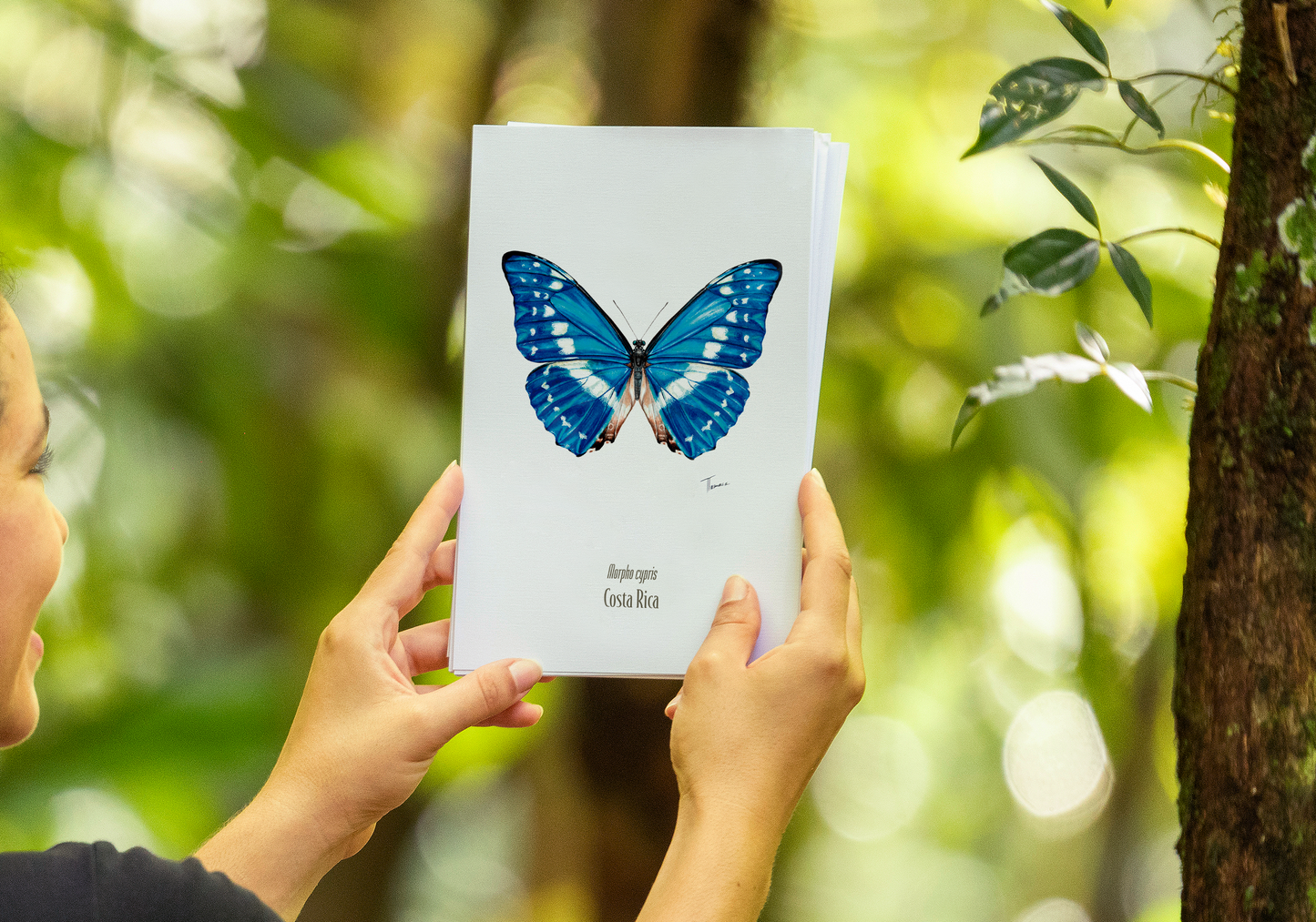 Print para enmarcar - Morpho