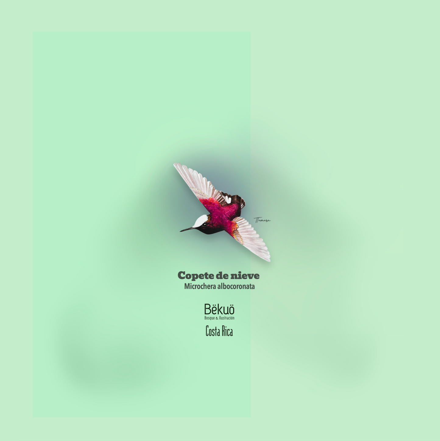 Blusa - Colibrí Copete de Nieve