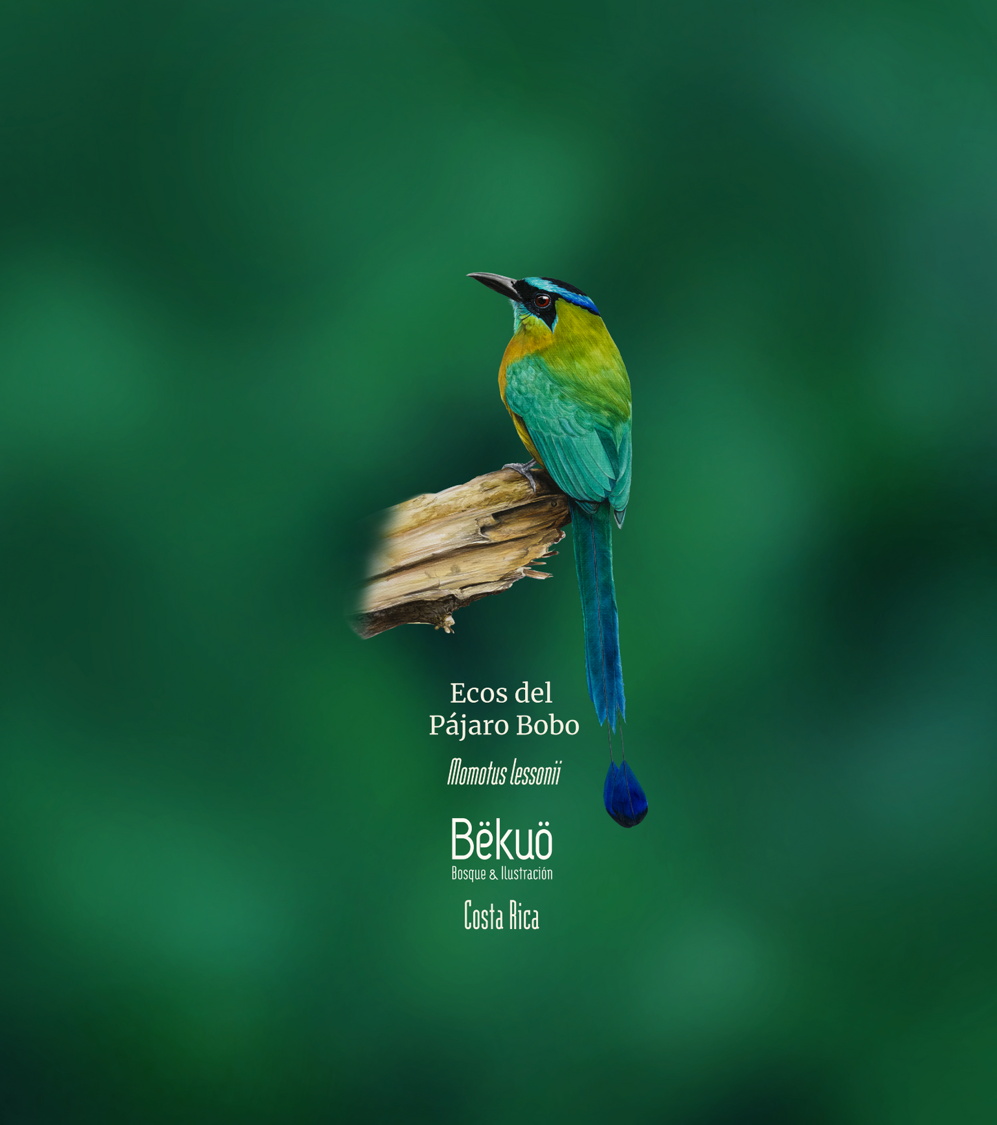 Blusa - Ecos del Pájaro Bobo