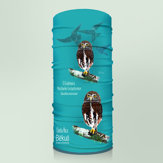 Bandana - El Endémico Mochuelo Costarricense