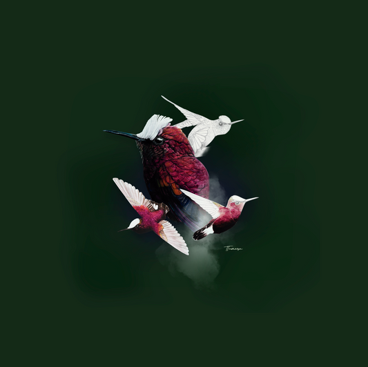 Camiseta - Colibrí Copete de Nieve