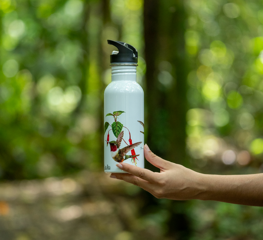 Botella - Colibrí Estrellita Gorgimorada