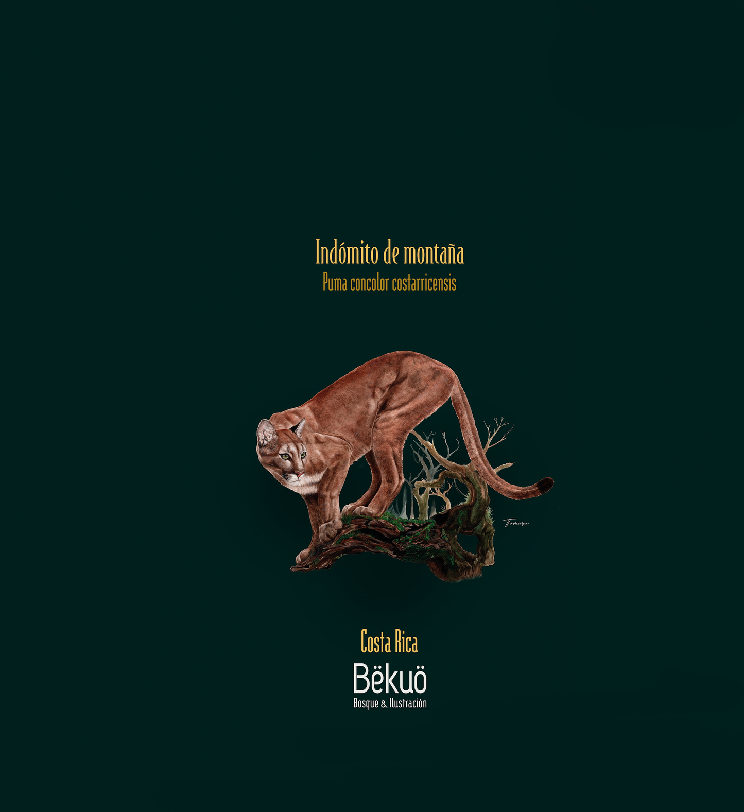 Blusa - Indómito de Montaña