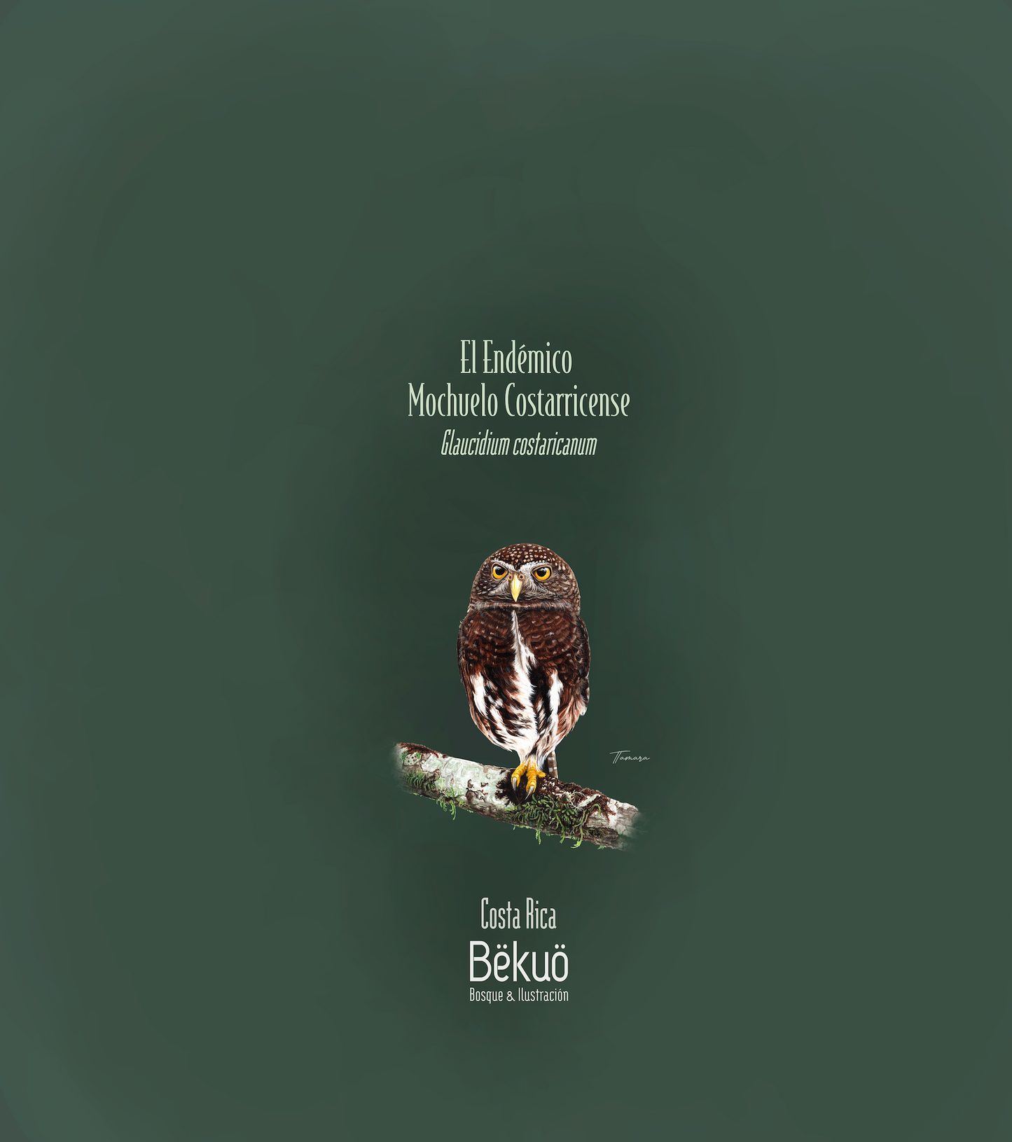 Blusa - Endémico Mochuelo Costarricense