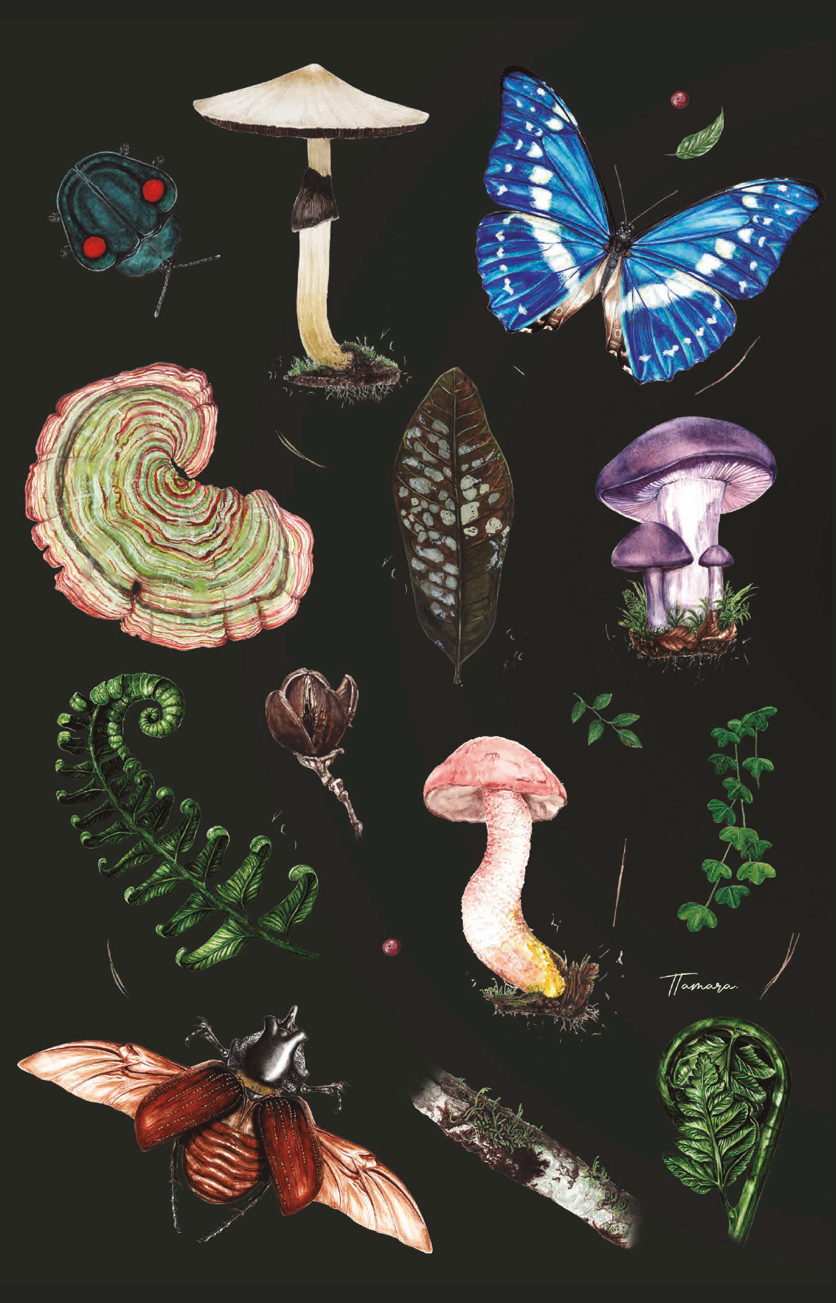 Libreta - Estamos conectados