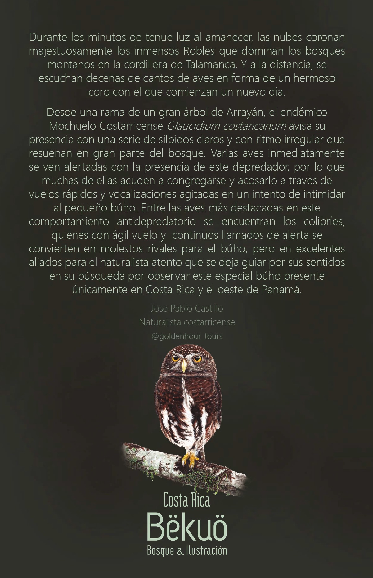 Libreta - Mochuelo Endémico Costarricense