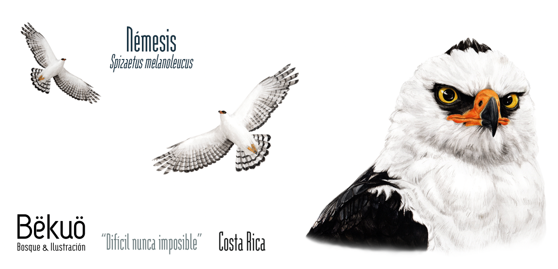 Botella - Némesis