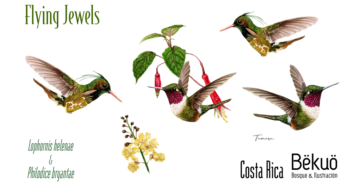 Botella-Flying Jewels