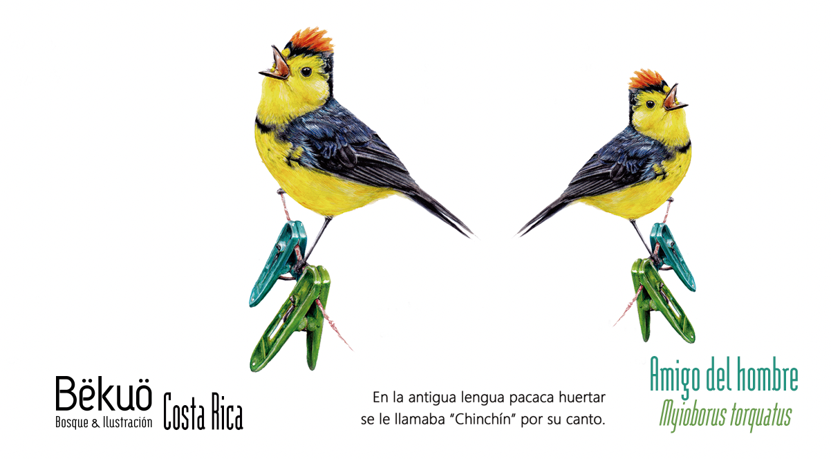 Botella - Amigo del hombre