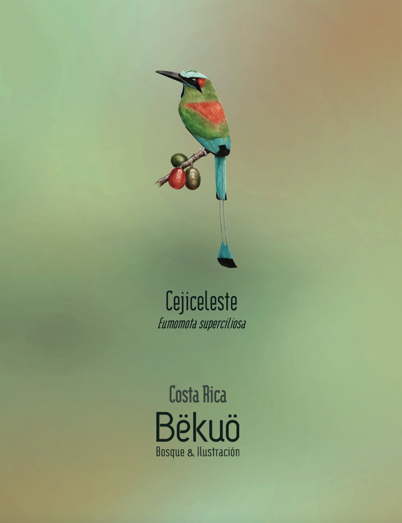 Libreta - Cejiceleste