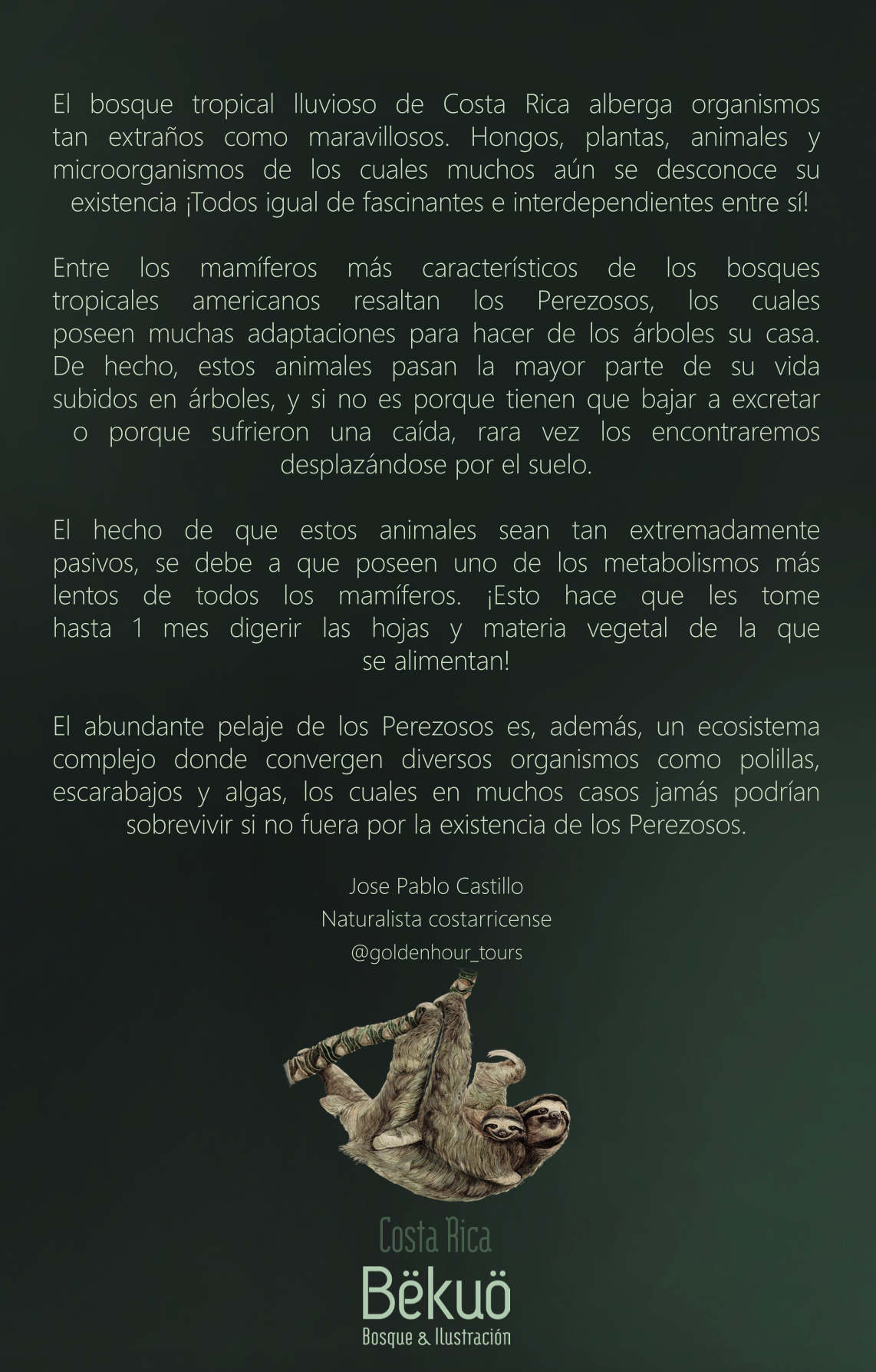 Libreta - Perezoso tono oscuro