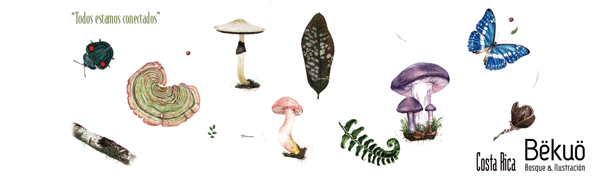 Jarrito de Metal - Estamos conectados