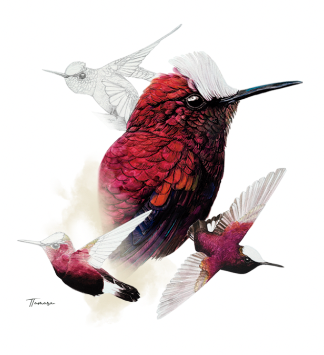 Jarrito de Metal - Copete de Nieve