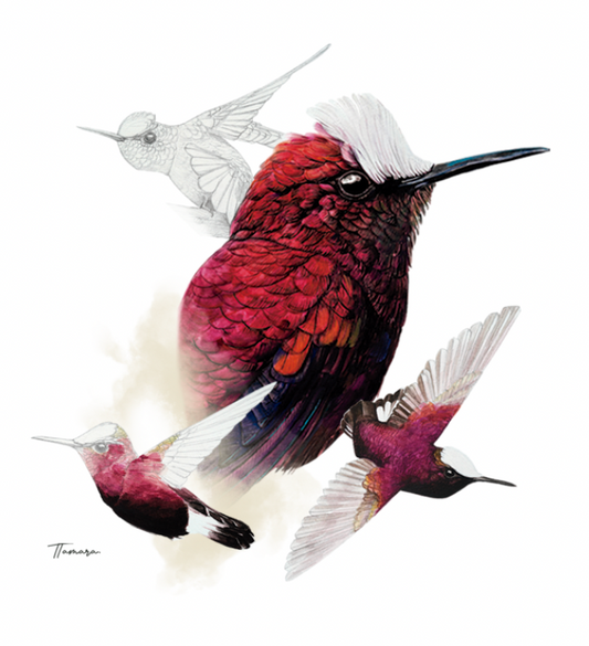 Jarrito de Metal - Copete de Nieve