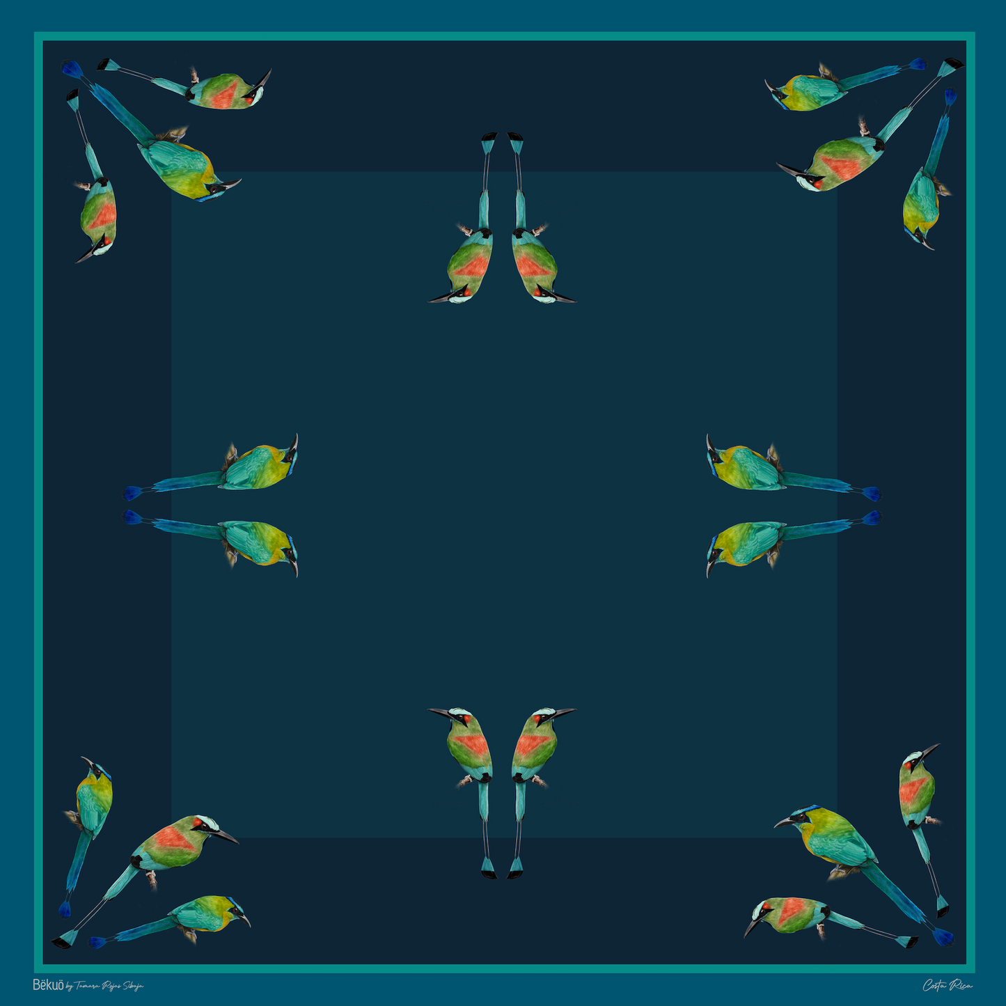 Pañuelo - Momotidae