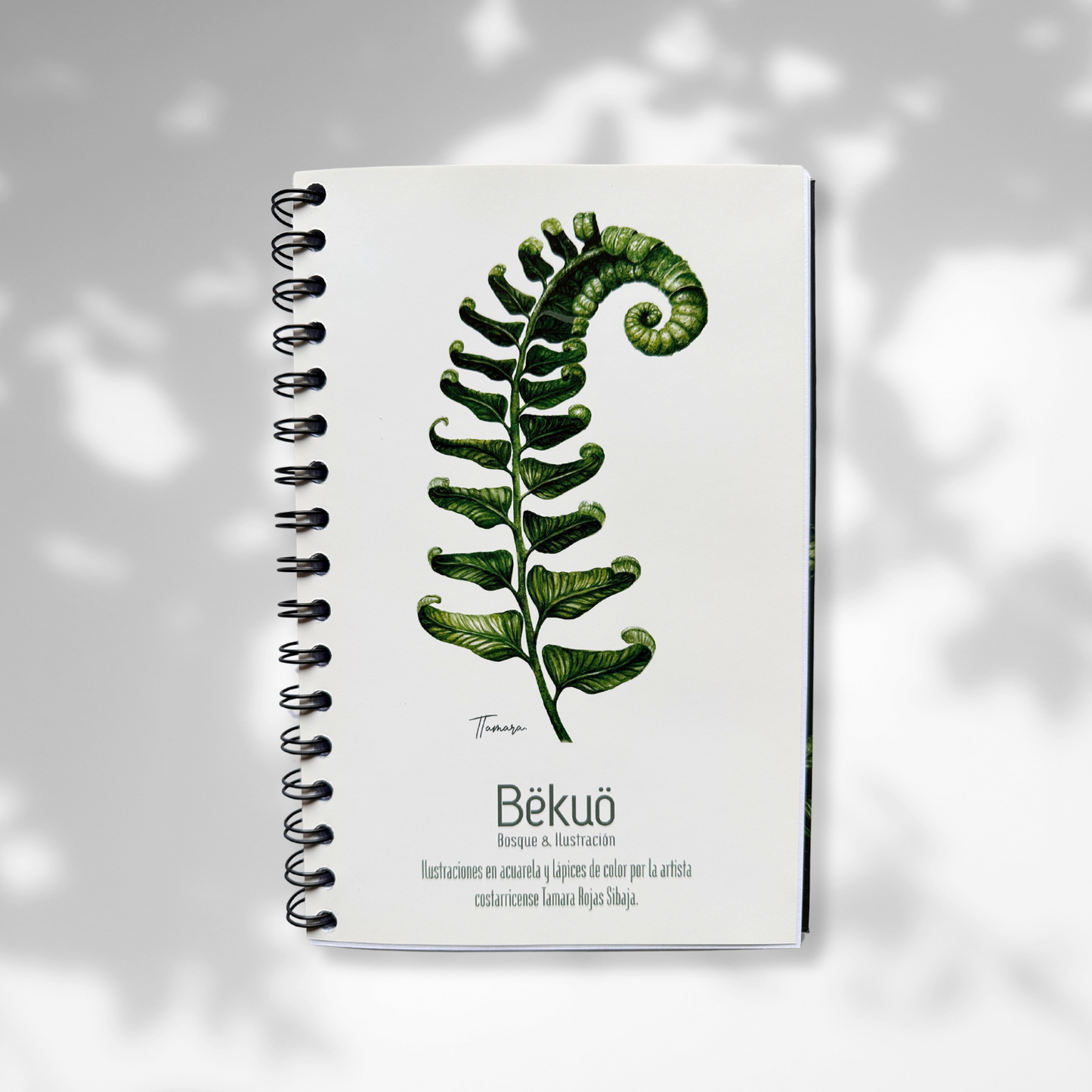 Libreta - Helechos