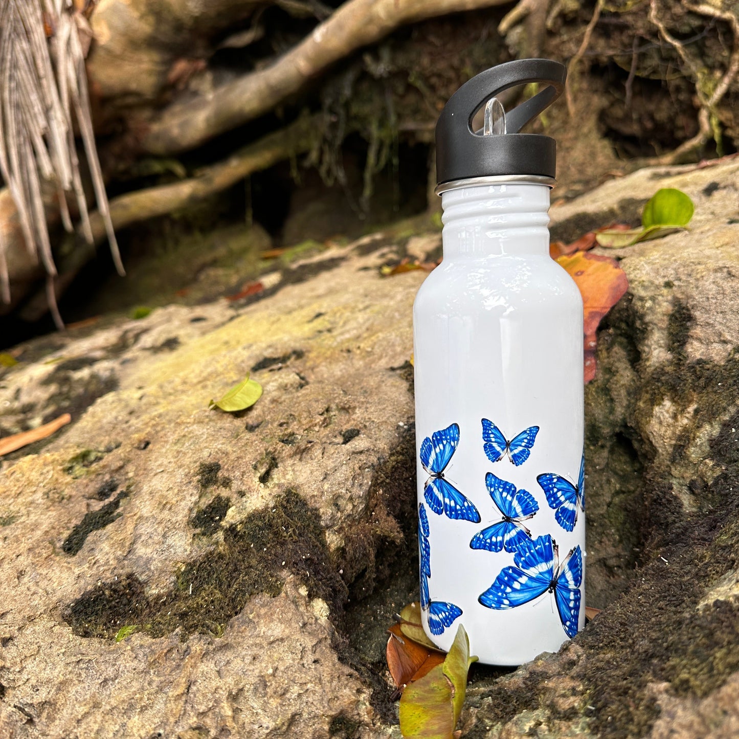 Botella - Morpho