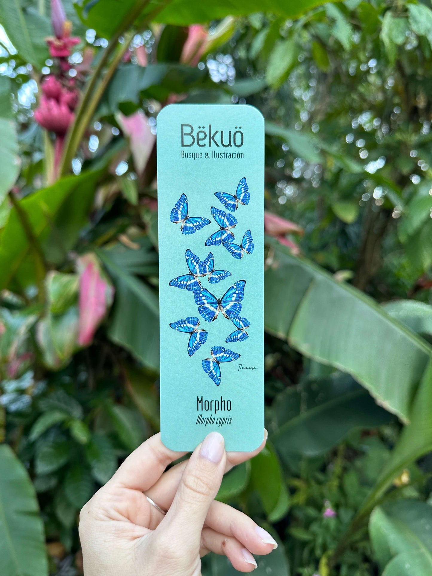 Separador de libros - Morpho