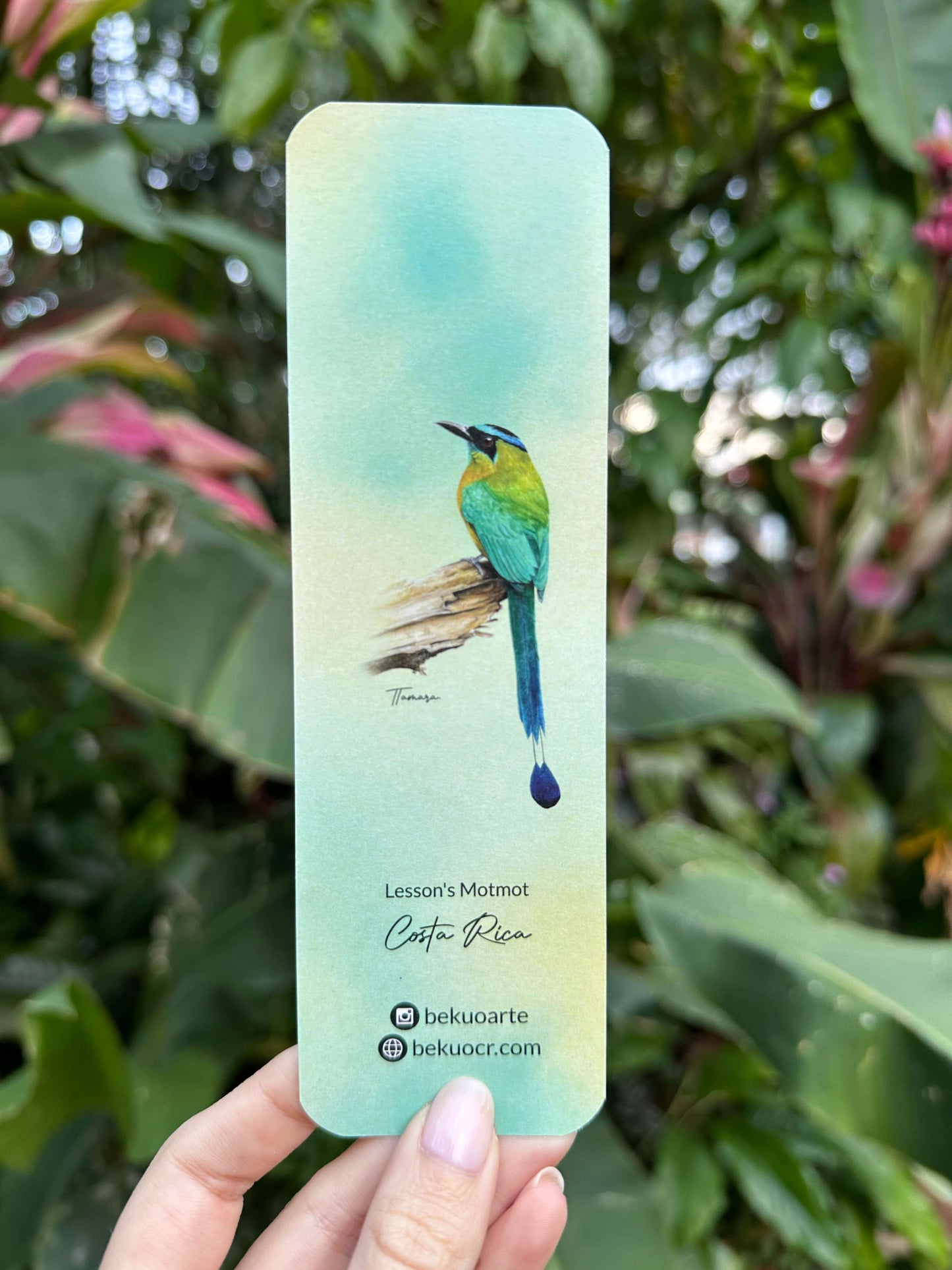 Separador de libros - Ecos del Pájaro Bobo