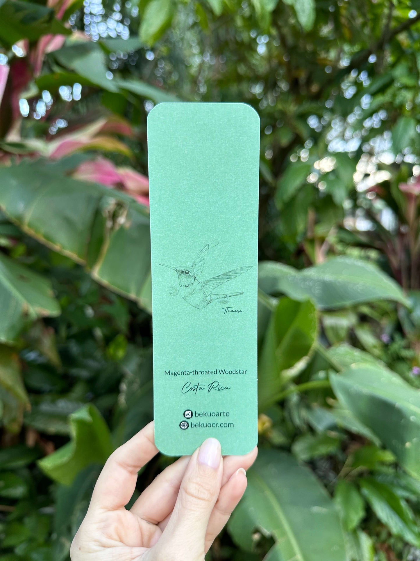 Separador de libros - Colibrí Estrellita Gorgimorada